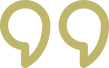Vector